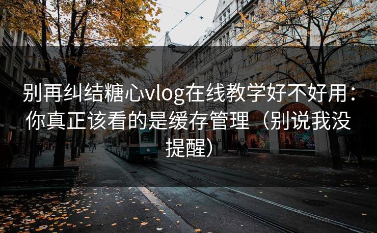 别再纠结糖心vlog在线教学好不好用：你真正该看的是缓存管理（别说我没提醒）