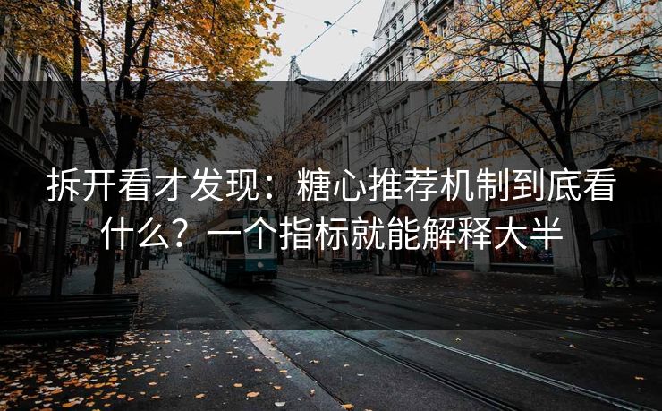 拆开看才发现：糖心推荐机制到底看什么？一个指标就能解释大半
